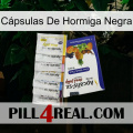 Cápsulas De Hormiga Negra 11